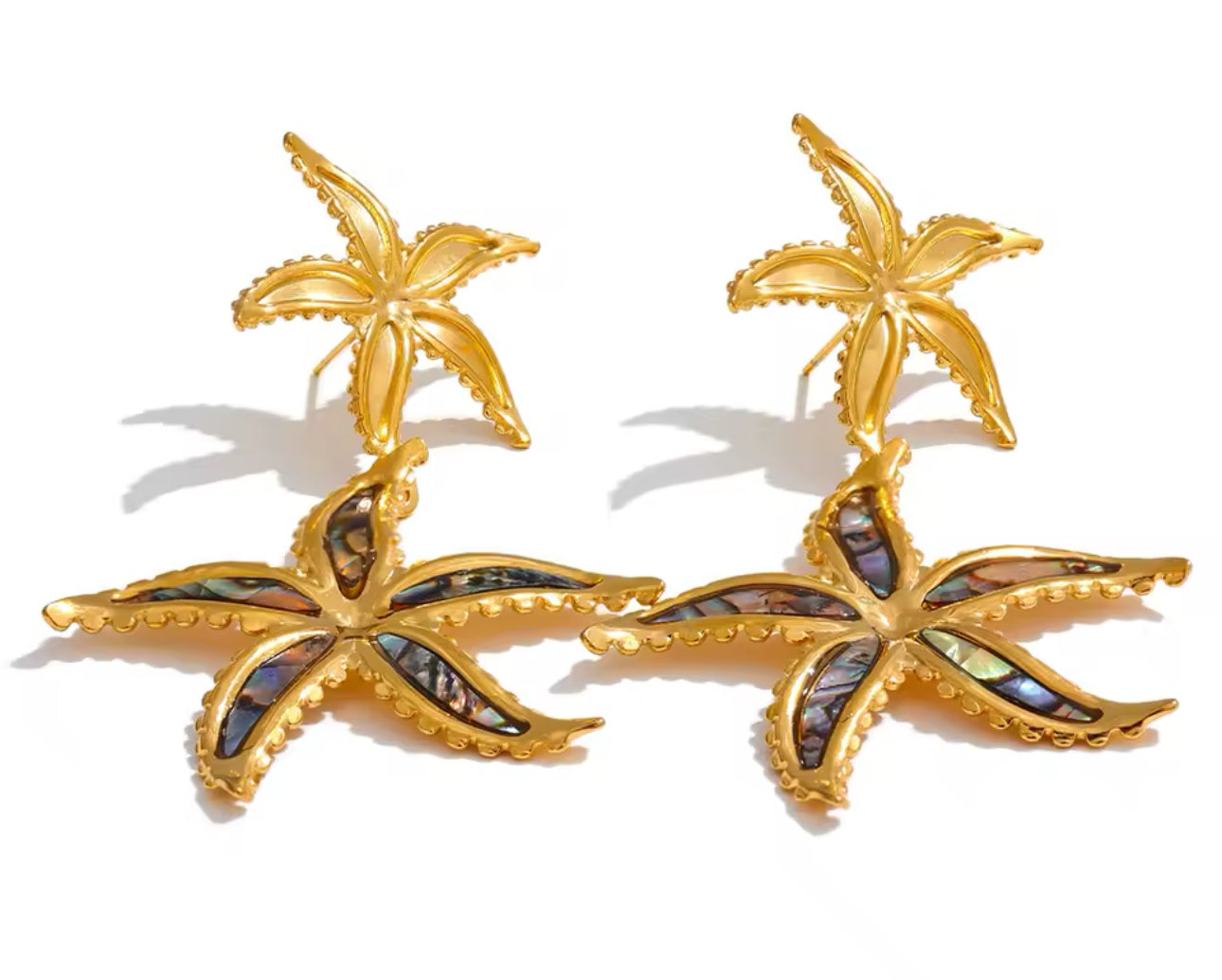 Flor Estrella de Mar