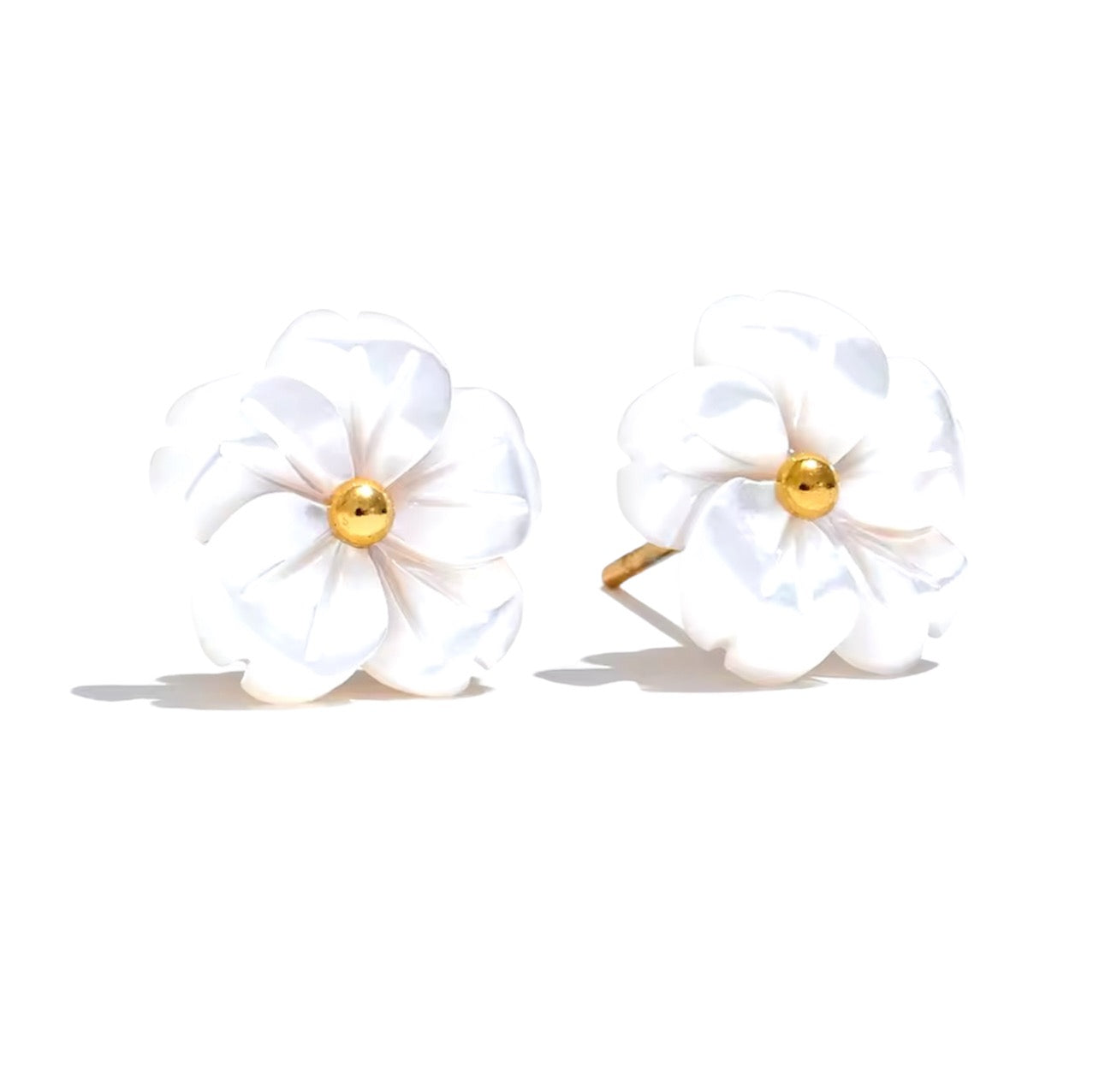 Flores Concha Natural