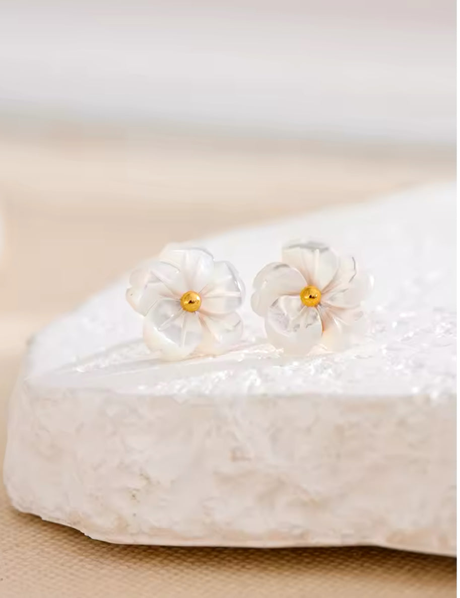 Flores Concha Natural