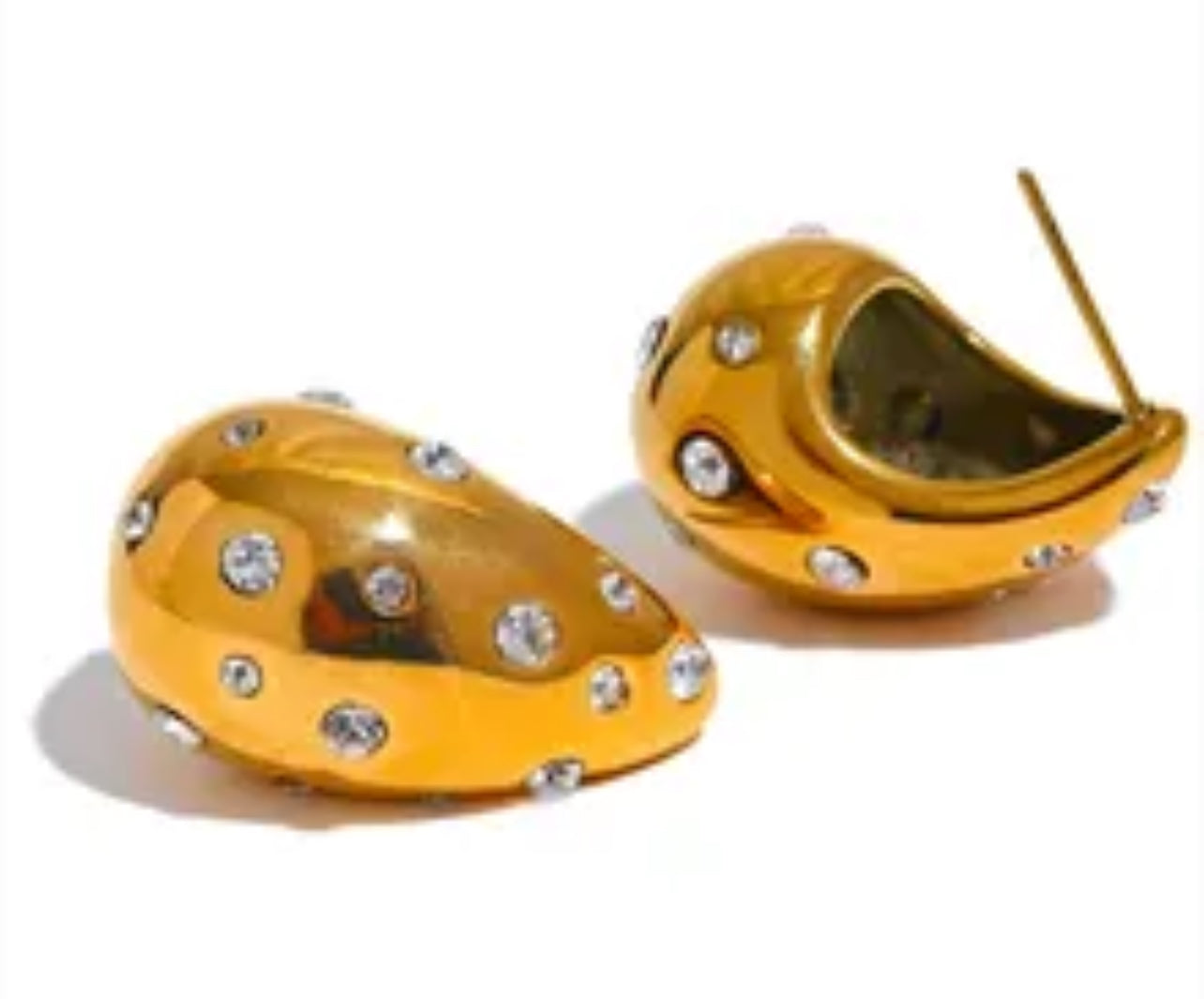 Sparkling Bottega Veneta