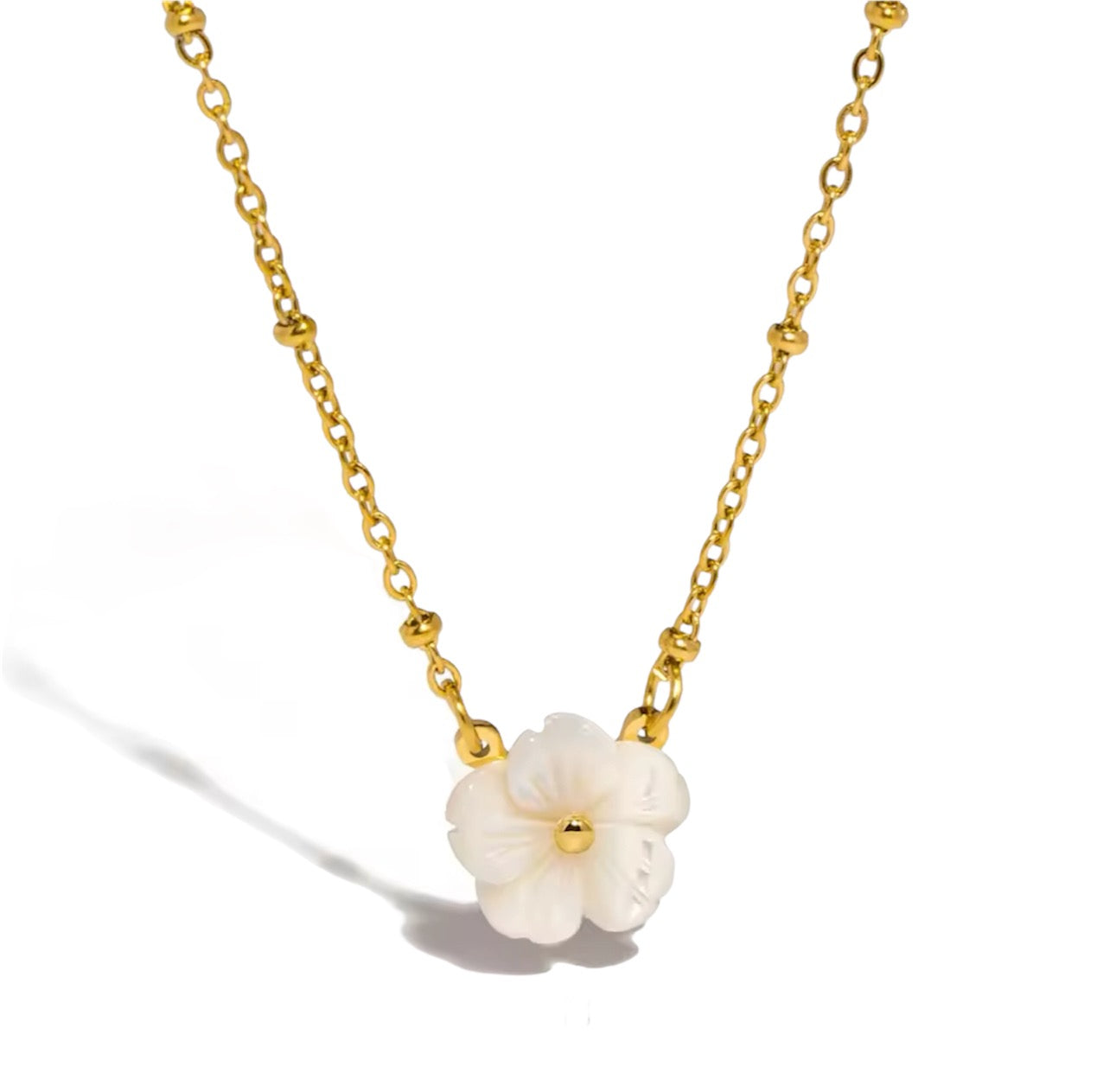 Flores Concha Natural