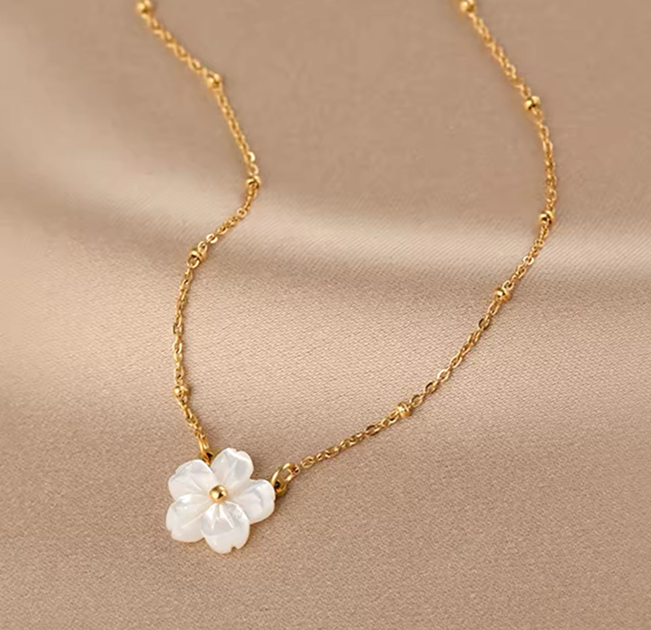 Flores Concha Natural