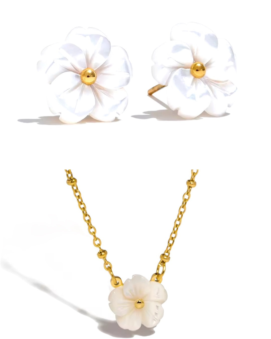 Flores Concha Natural