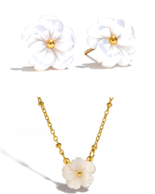 Flores Concha Natural